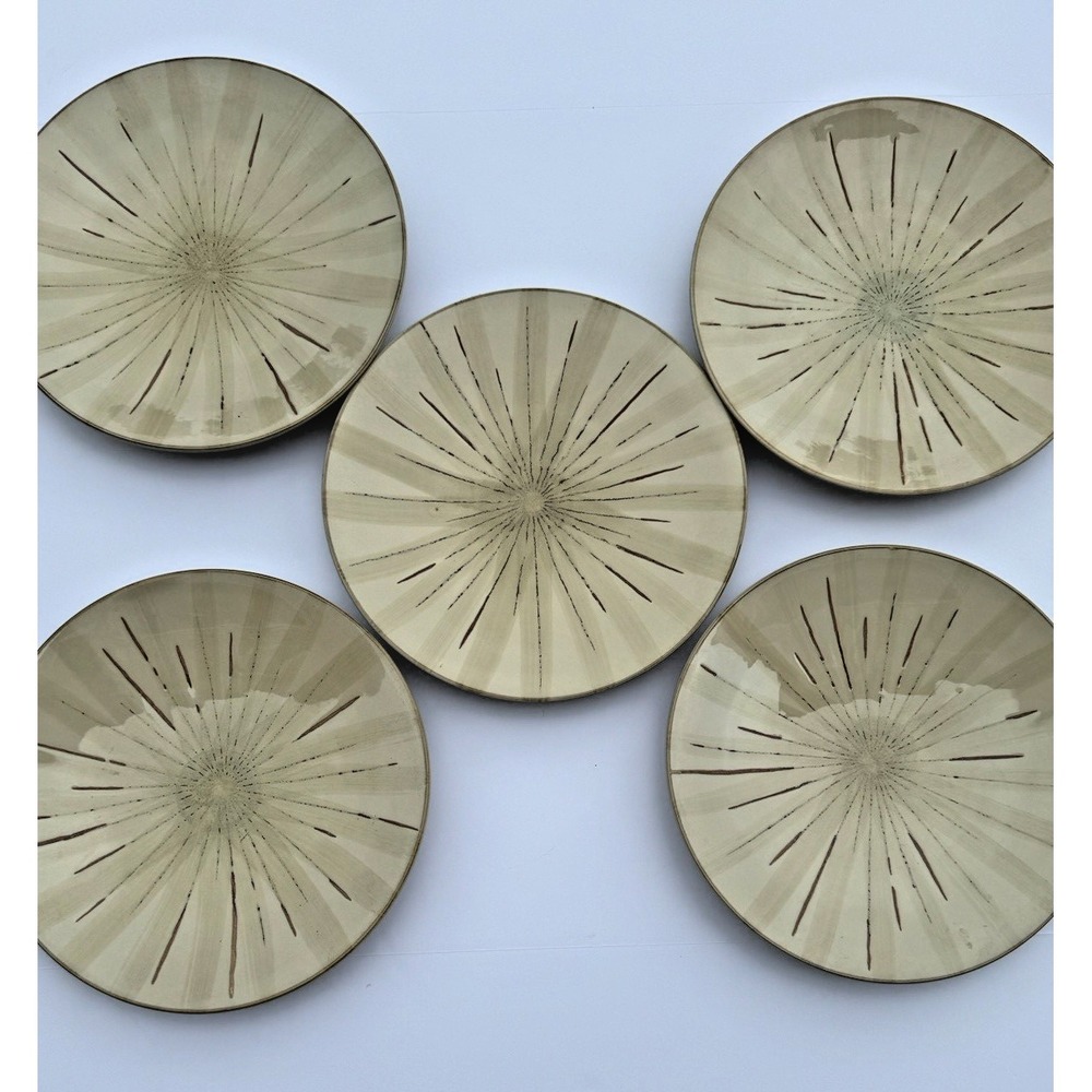 Pier 1 Sanctuary Ceramic Stoneware Dinner Plates Set Of 5 Starburst